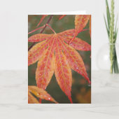 Carte Feuille de scintillement (Devant)