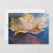 Carte Feuille d'érable jaune congelée Automne Nature (Devant)