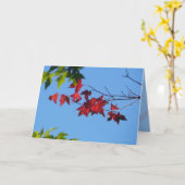 Carte Feuille d'érable rouge (Fleur jaune)