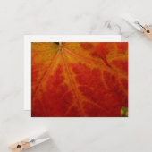 Carte Feuille d'érable rouge Abstraite Automne Photograp (Devant/Arrière en situation)