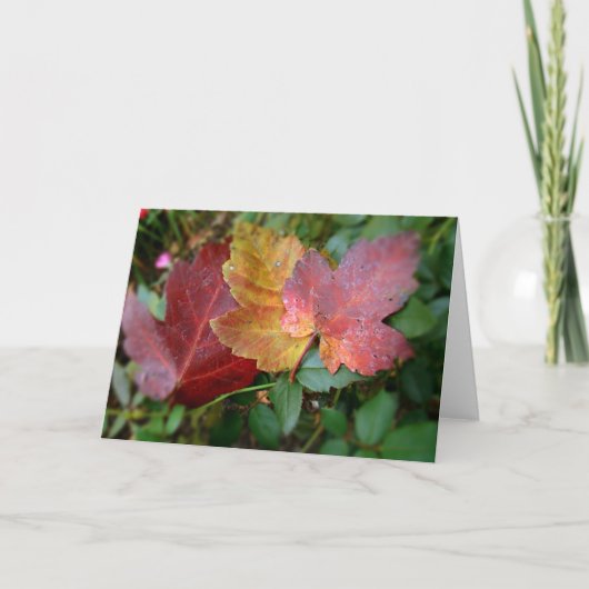 Carte Feuille III (Devant)