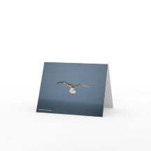 Carte Feuille Seagull
