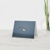 Carte Feuille Seagull (Devant)