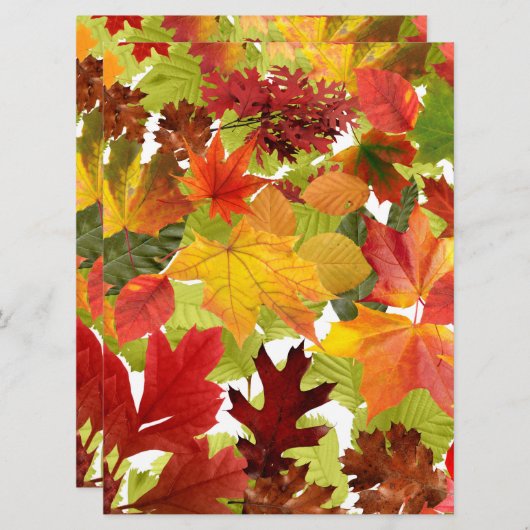 Carte Feuilles automnales d'automne (Devant / Derrière)