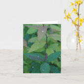 Carte Feuilles avec Dew (Fleur jaune)