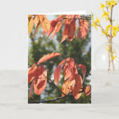 Carte Feuilles d'automne (Fleur jaune)