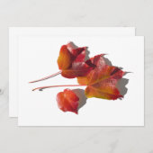 Carte Feuilles d'automne (Devant / Derrière)