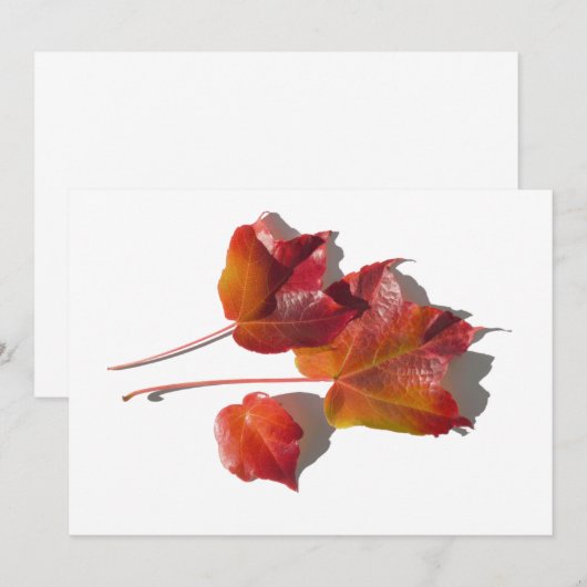 Carte Feuilles d'automne (Devant / Derrière)