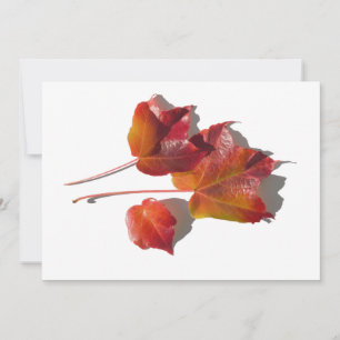 Carte Feuilles d'automne