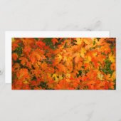 Carte Feuilles d'automne (Devant / Derrière)