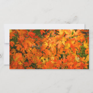 Carte Feuilles d'automne