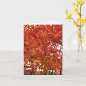 Carte Feuilles d'automne de Kyoto (Fleur jaune)