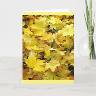 Carte Feuilles d'automne jaunes
