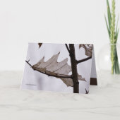 Carte Feuilles de fantôme de chêne (Devant)