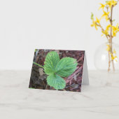Carte Feuilles de fraises texturées (Fleur jaune)