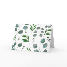 Feuilles de l'eucalyptus