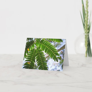 Carte Feuilles de Mimosa