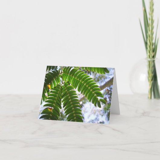 Carte Feuilles de Mimosa (Devant)