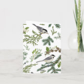 Carte Feuilles de pin oiseau  (Dos)