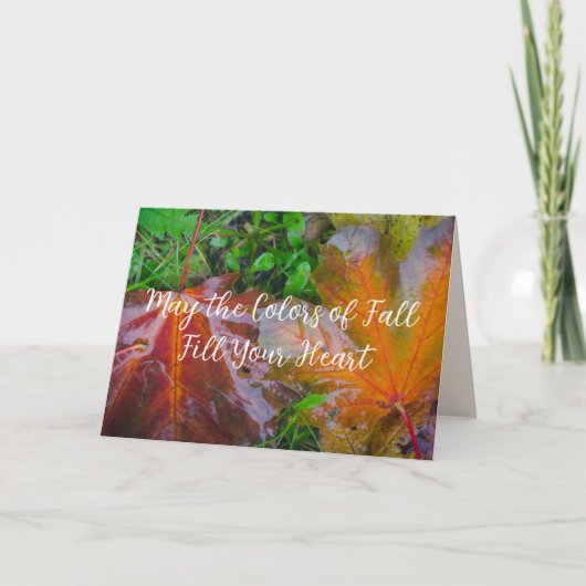 Carte Feuilles d'érable rouge (Devant)