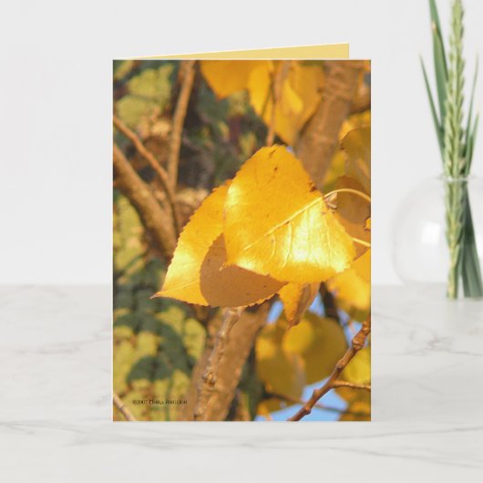 Carte Feuilles qui parlent (Devant)