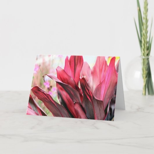 Carte Feuilles tropicaux (Devant)