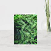 Carte Feuilles verts (Devant)