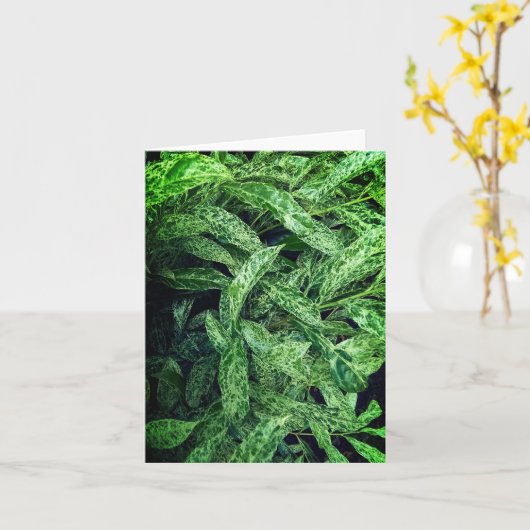 Carte Feuilles verts (Fleur jaune)