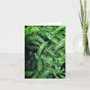 Carte Feuilles verts