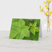 Carte Feuilles verts (Fleur jaune)