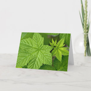 Carte Feuilles verts