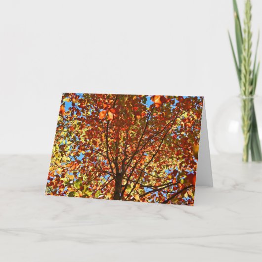 Carte Feux d'artifice d'automne (Devant)