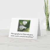 Carte Fiançailles Tulipes blanches (Dos)