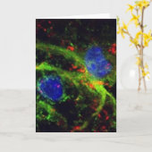 Carte fibrinogène (Fleur jaune)