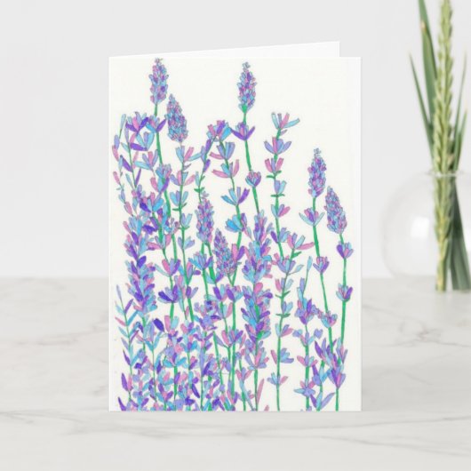 Carte Fiche de champ Lavender (Devant)