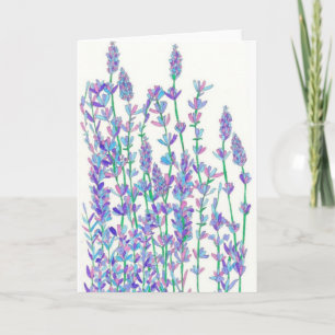Carte Fiche de champ Lavender