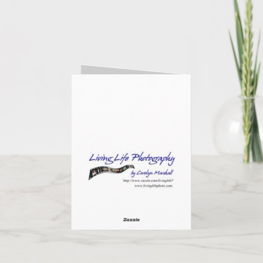 Carte Fiche de félicitations (Dos)