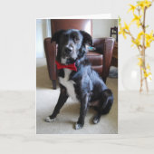 Carte Fichier de recherche (Fleur jaune)