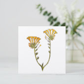 Carte Fiddleneck (Debout devant)