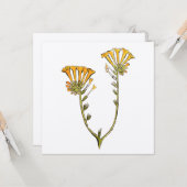 Carte Fiddleneck (Devant/Arrière en situation)