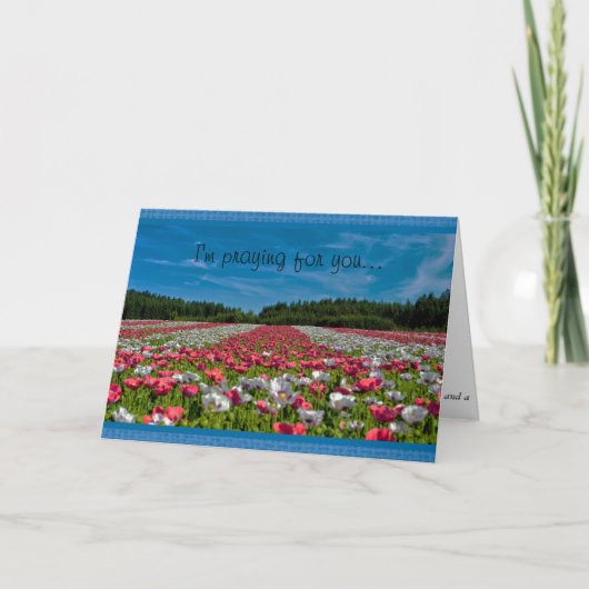 Carte Field of Poppies Christian Message Greeting Card (Devant)