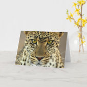 Carte Fierce Leopard (Fleur jaune)