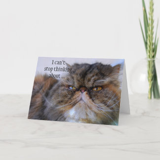 Carte fière de Kitty de Persan de calicot de Merci