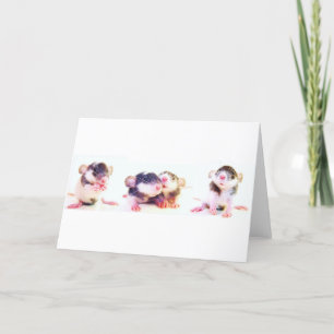 Carte Fièrement possédé par des rats !