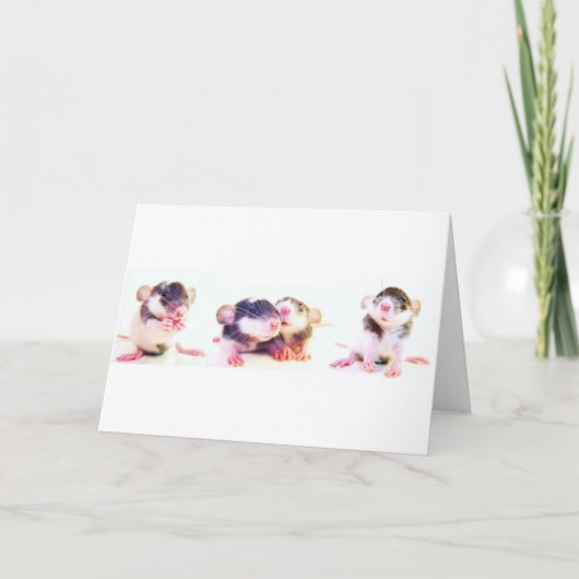 Carte Fièrement possédé par des rats ! (Devant)