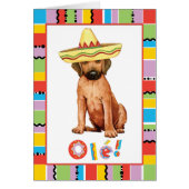 Carte Fiesta Rhodesian Ridgeback (Devant)