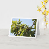 Carte Fig Tree, Blue Sky Portrait (Fleur jaune)