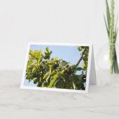 Carte Fig Tree, Blue Sky Portrait (Devant)