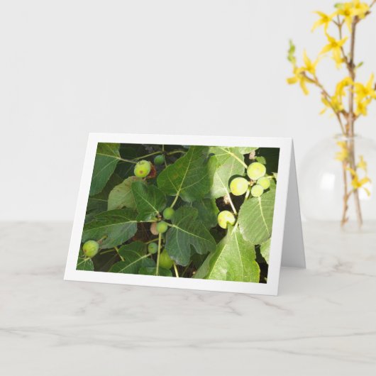 Carte Figes blanches sur l'arbre (Fleur jaune)
