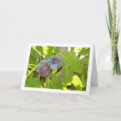 Carte Figes sur le portrait de l'arbre (Devant)